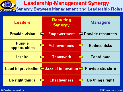 Leadership-Management Synergy